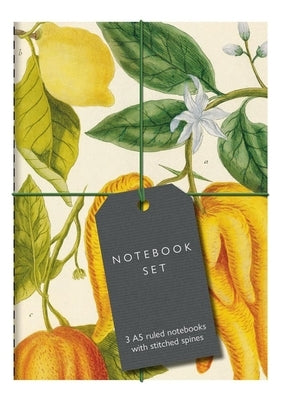 Botanical Art Notebook Set - Lemon, Chillis and Apples: 3 A5 Ruled Notebooks with Stitched Spines by Bodleian Library