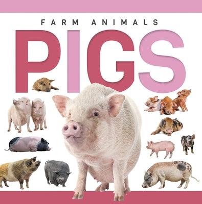 Pigs by Hallworth, Sadie