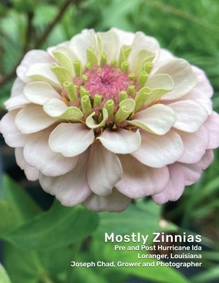 Mostly Zinnias: Flower Photos Pre and Post Hurricane Ida by Chad, Joseph
