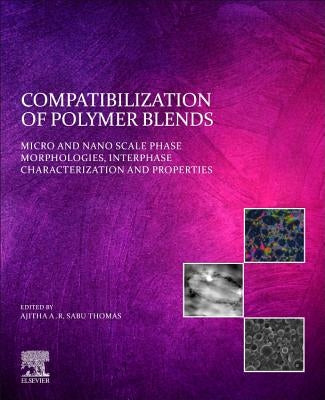 Compatibilization of Polymer Blends: Micro and Nano Scale Phase Morphologies, Interphase Characterization, and Properties by A. R., Ajitha