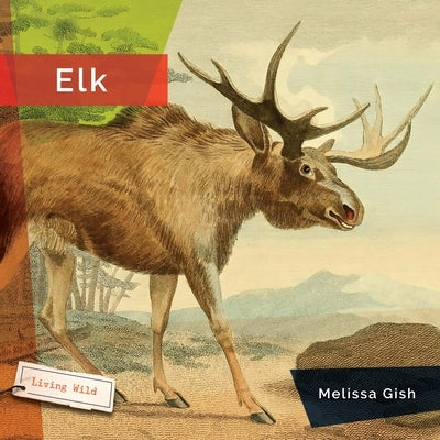 Elk by Gish, Melissa