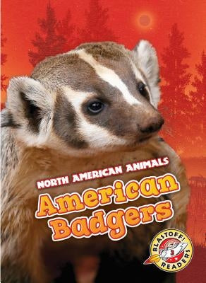 American Badgers by Sabelko, Rebecca