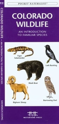 Pond Life: An Introduction to Familiar Plants and Animals Living in or Near Ponds, Lakes and Wetlands by Kavanagh, James