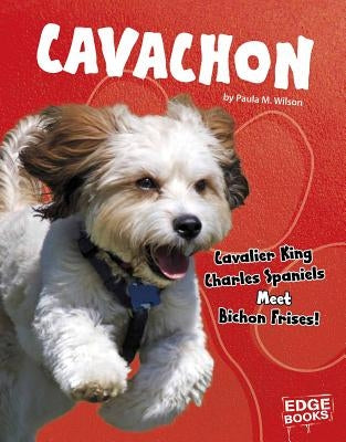 Cavachon: Cavalier King Charles Spaniels Meet Bichon Frises! by Wilson, Paula M.