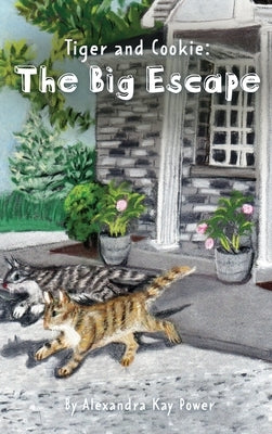 Tiger and Cookie: The Big Escape by Power, Alexandra Kay