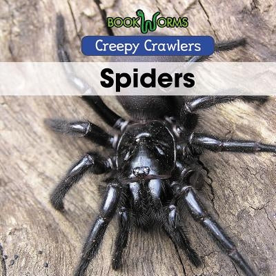 Spiders by Patterson, Jack K.