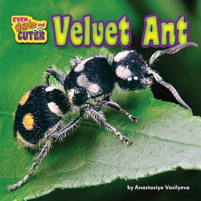 Velvet Ant by Vasilyeva, Anastasiya