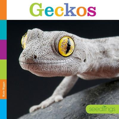 Seedlings: Geckos by Riggs, Kate