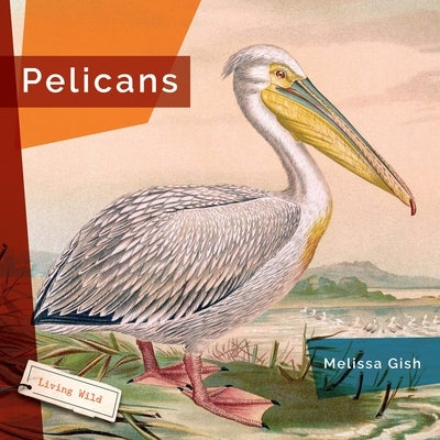 Pelicans by Gish, Melissa