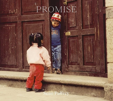 Promise by Palfrey, Sean