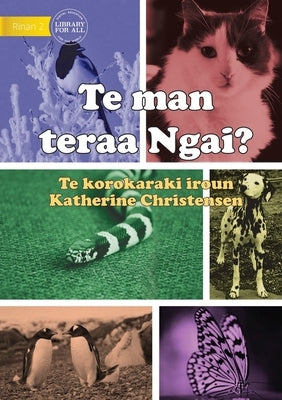 What Animal am I? - Te man teraa Ngai? (Te Kiribati) by Christensen, Katherine