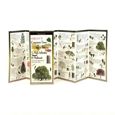 Sibley's Common Trees in the Cities & Towns of the Mid-Atlantic & Midwest by Sibley, David