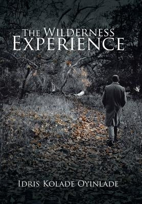 The Wilderness Experience by Oyinlade, Idris Kolade