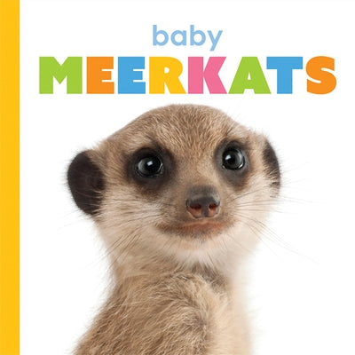 Baby Meerkats by Riggs, Kate