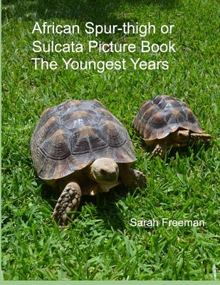 African Spur-thigh or Sulcata Picture Book - The Youngest Years by Freeman, Sarah