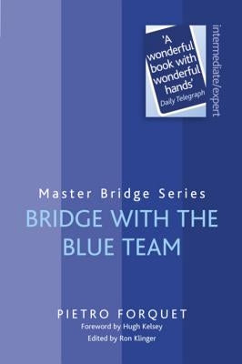 Bridge with the Blue Team by Forquet, Pietro