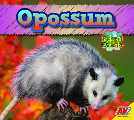 Opossum by McGill, Jordan