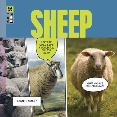 Sheep by Arnold, Quinn M.