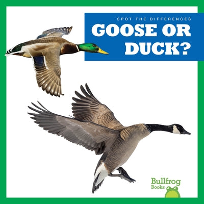 Goose or Duck? by Deniston, Natalie