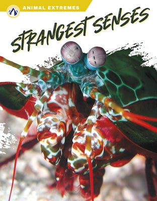 Strangest Senses by Gish, Ashley