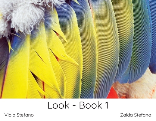 Look - Book 1 by Stefano, Zaida
