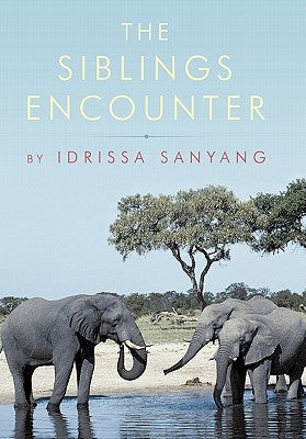 The Siblings Encounter by Sanyang, Idrissa