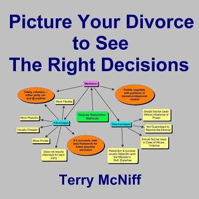 Picture Your Divorce to See the Right Decisions by McNiff, Terry