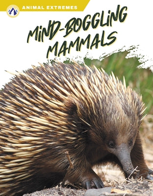 Mind-Boggling Mammals by Wilson, Libby
