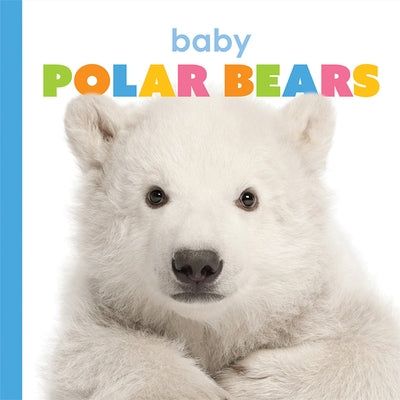 Baby Polar Bears by Riggs, Kate