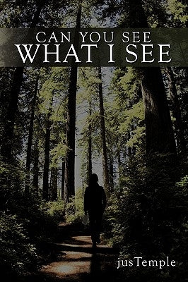 Can You See What I See by Justemple