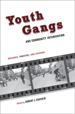 Youth Gangs and Community Intervention: Research, Practice, and Evidence by Chaskin, Robert