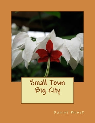 Small Town Big City by Brock, Daniel Allen