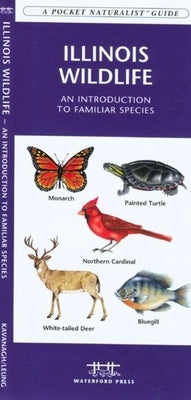 New York State Trees & Wildflowers: A Folding Pocket Guide to Familiar Plants by Kavanagh, James
