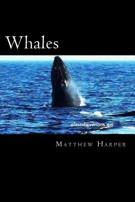 Whales: A Fascinating Book Containing Whale Facts, Trivia, Images & Memory Recall Quiz: Suitable for Adults & Children by Harper, Matthew