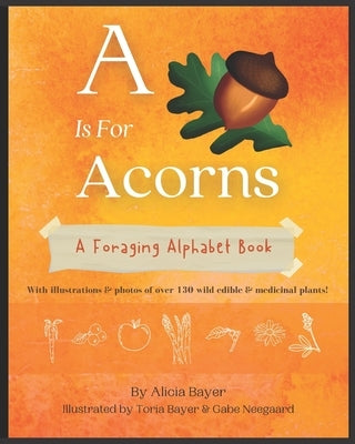 A Is For Acorns: A Foraging Alphabet Book by Bayer, Toria
