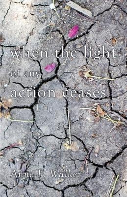 When the Light of Any Action Ceases by Walker, Anne F.