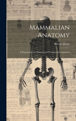 Mammalian Anatomy; a Preparation for Human and Comparative Anatomy by Jayne, Horace