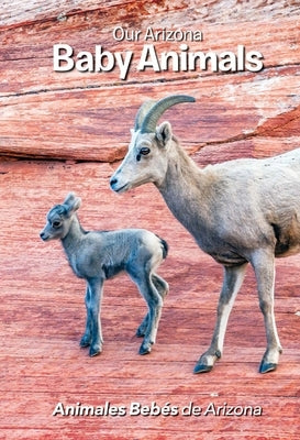 Our Arizona: Baby Animals by Conrad, Jerri