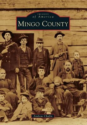 Mingo County by Chafin, Andrew