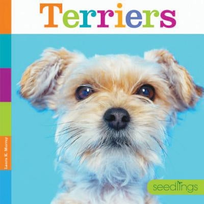 Terriers by Murray, Laura K.