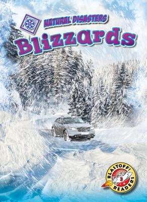 Blizzards by Rathburn, Betsy