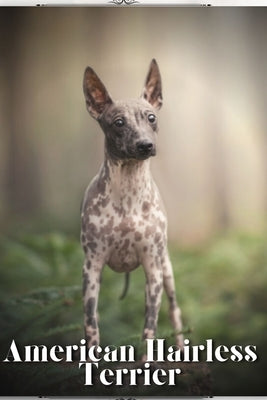 American Hairless Terrier: Dog breed overview and guide by Pustova, Nina