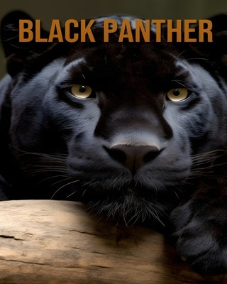 Black Panther: The Amazing Life of the Black Panther by Ash, Vivienne