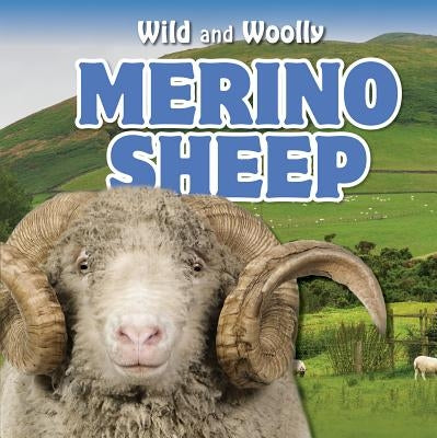 Merino Sheep by Esquivel, Rosaura