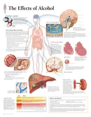 The Effects of Alcohol Chart: Laminated Wall Chart by Scientific Publishing