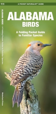 Alabama Birds: An Introduction to Familiar Species by Kavanagh, James