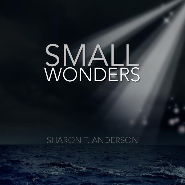 Small Wonders by Anderson, Sharon T.