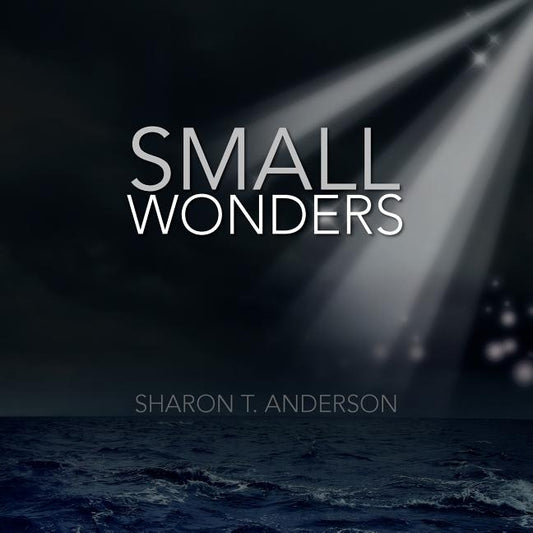 Small Wonders by Anderson, Sharon T.