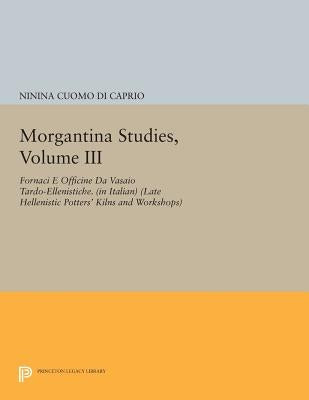 Morgantina Studies, Volume III: Fornaci E Officine Da Vasaio Tardo-Ellenistiche. (in Italian) (Late Hellenistic Potters' Kilns and Workshops) by Cuomo Di Caprio, Ninina