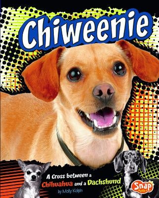 Chiweenie: A Cross Between a Chihuahua and a Dachshund by Kolpin, Molly